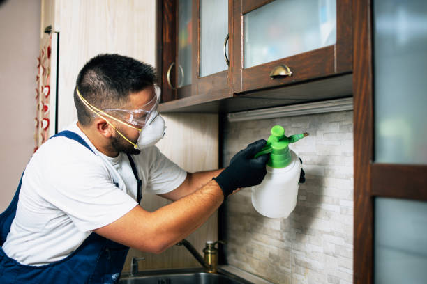 Best Flea Control Services  in Saybrook On The Lake, OH