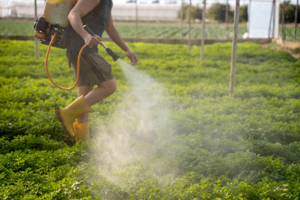 Best Pest Removal Services  in Saybrook On The Lake, OH