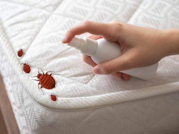 Best Bed Bug Extermination  in Saybrook On The Lake, OH