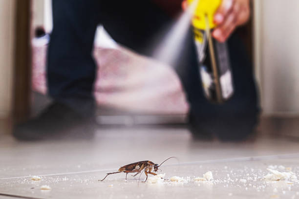Best Best Pest Control Companies  in Saybrook On The Lake, OH